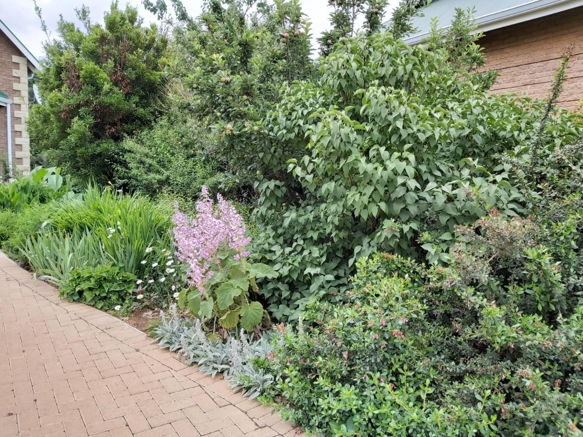 Clarens Mountain Sage Holiday House Kültér fotó